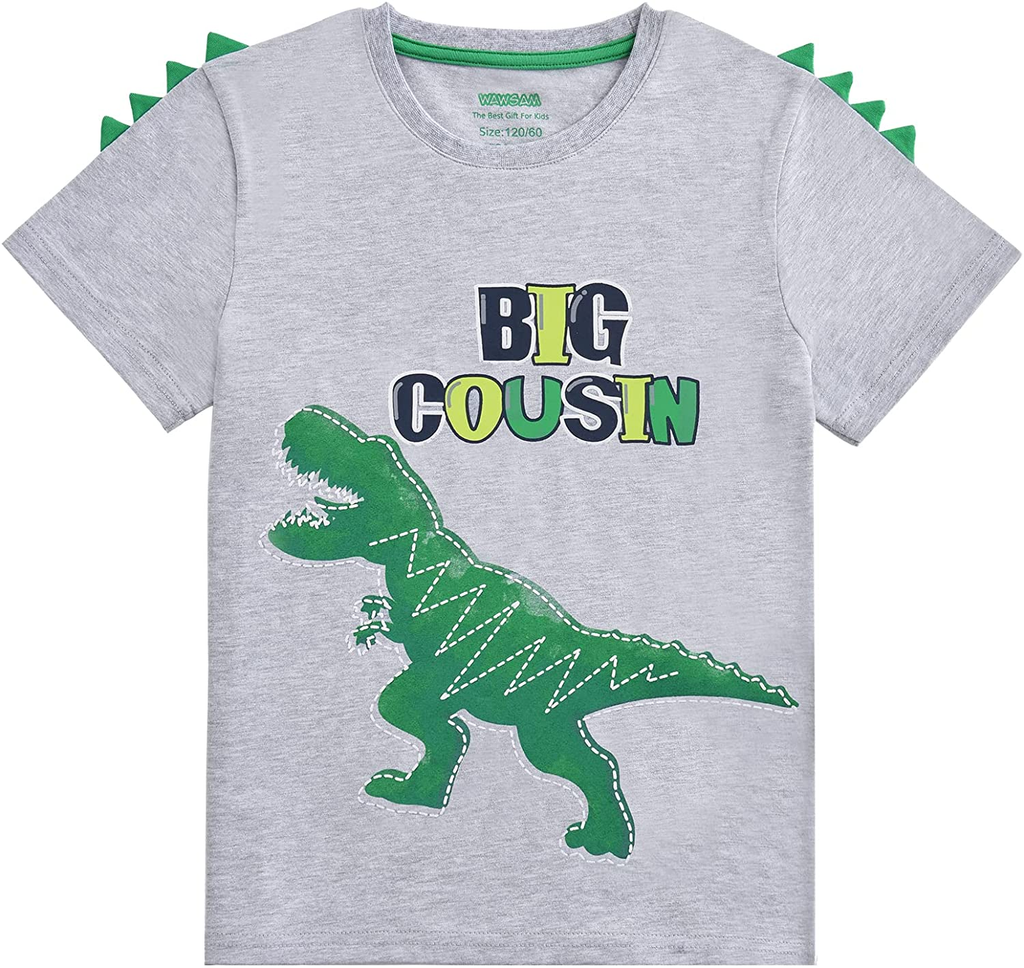 Dinosaur Big Cousin T-Shirt Dinosaur Cousin Birthday Boy Shirt for Toddler Boys
