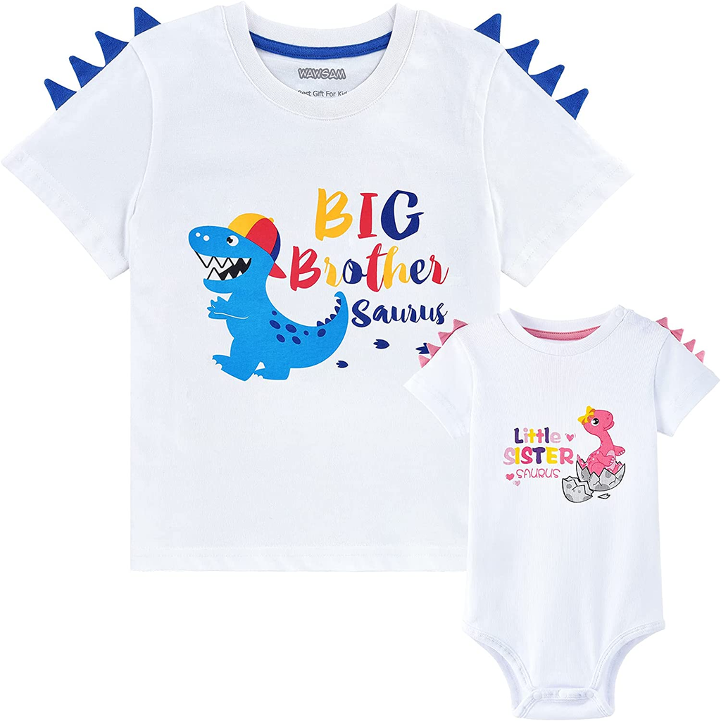 Big Brother Little Sister Matching Outfits Dinosaur Sibling Shirts Set Gift