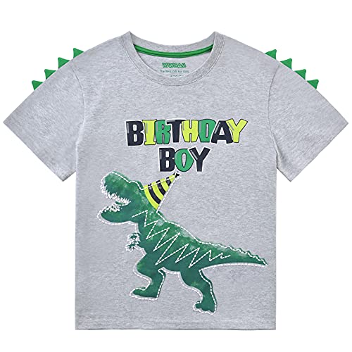 Dinosaur Birthday Boy T-Shirt Toddler B-Day Dino Party Shirts T Rex Top Tee Gift Cotton Graphic Short Sleeve Gray Printed T-Shirt Outfits for Boy Kids